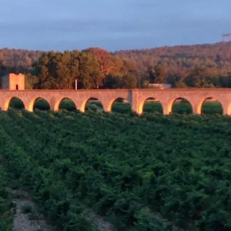Chateau De Jouarres S2 * Azille